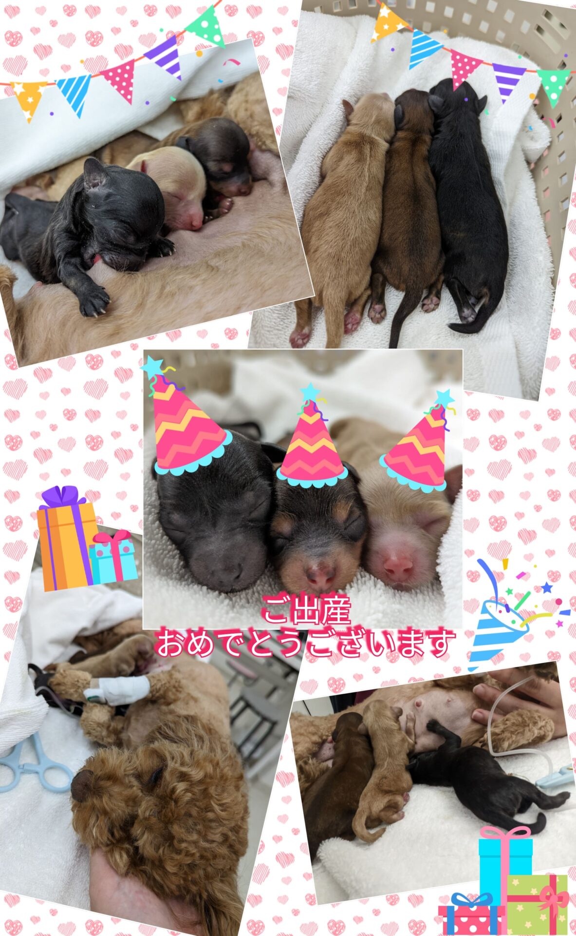 新年明けましておめでとうございます。