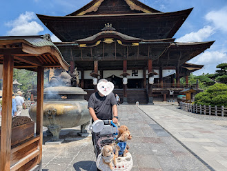 ⛩️長野県善光寺⛩️
